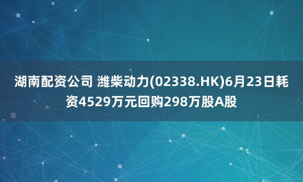 湖南配资公司 潍柴动力(02338.HK)6月23日耗资4529万元回购298万股A股