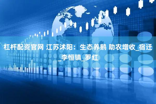 杠杆配资官网 江苏沭阳：生态养鹅 助农增收_宿迁_李恒镇_罗红