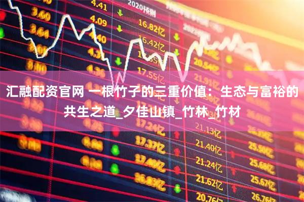 汇融配资官网 一根竹子的三重价值：生态与富裕的共生之道_夕佳山镇_竹林_竹材
