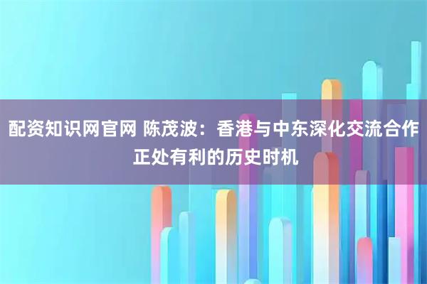 配资知识网官网 陈茂波：香港与中东深化交流合作 正处有利的历史时机