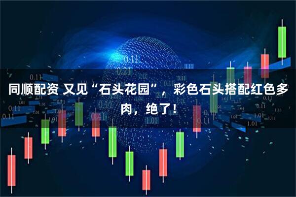 同顺配资 又见“石头花园”，彩色石头搭配红色多肉，绝了！