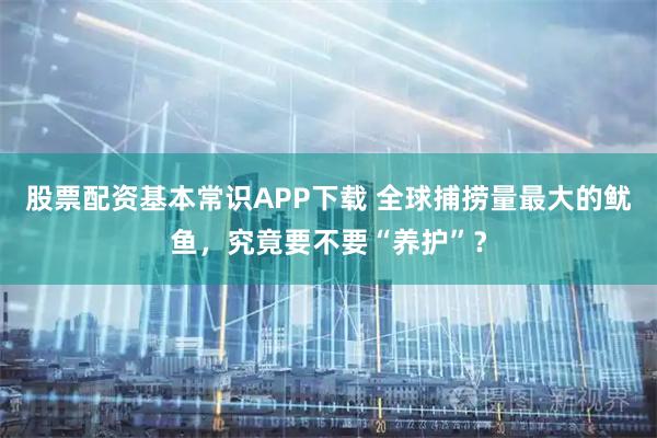 股票配资基本常识APP下载 全球捕捞量最大的鱿鱼，究竟要不要“养护”？