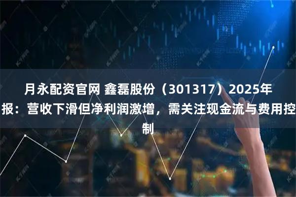 月永配资官网 鑫磊股份（301317）2025年中报：营收下滑但净利润激增，需关注现金流与费用控制